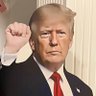 AJPatriotmom's profile picture