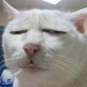 L.G.Y profil fotoğrafı