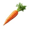 SCROLL OBJECT's profile picture