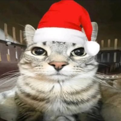Selke's profile picture