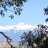 Ashu profil fotoğrafı