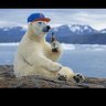 Profilbild von polar beer