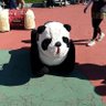 あーく's profile picture