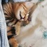 H.Slk profil fotoğrafı