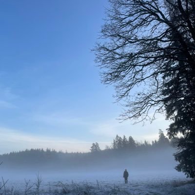 Henrik Sjöström 🌻's profile picture