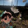 むぅ💚 的头像