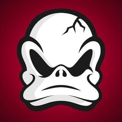 Pavelliuus's profile picture