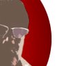 神勅🇯🇵's profile picture
