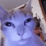Profilbild von Kostas