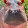 Profilbild von Lev