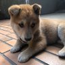 無是 profil fotoğrafı
