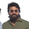 PEDDI's profile picture