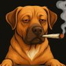 Фото профиля Bad🔥Weed🍁