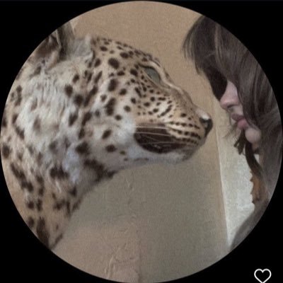 N's profile picture