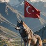(Türk) profil fotoğrafı