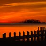 Sunset Queen's profile picture