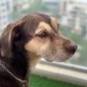 GilCS profil fotoğrafı