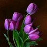 إنصاف المصري 💜 آل سيف 💜 profil fotoğrafı
