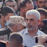 الكيال 的头像
