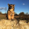 Фото профиля Indi