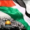 Mohamed's profile picture