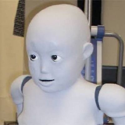 おぼろ's profile picture