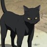 Black Cat Loki profil fotoğrafı