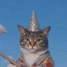 Nueve's profile picture