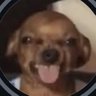 Thatgirl's profile picture