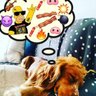 Profilbild von EmilioFrank