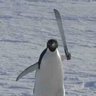 Profilbild von Nebraska Willy