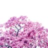 Фото профиля Cynthia Rahmat