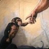 Chris Baulman✝️ #TruthSeeking's profile picture