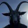 Kalikandsaros profil fotoğrafı