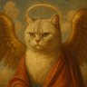 猫天使's profile picture