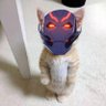 Catron's profile picture