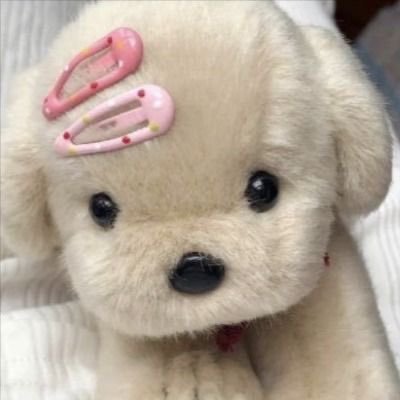 ʚ vivi ɞ's profile picture