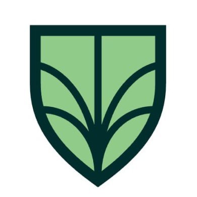 WeTheIvy's profile picture