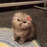 si yati's profile picture