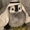Profilbild von 赛博犟种