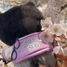 kurosuke 的头像
