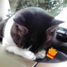 taro jiro profil fotoğrafı