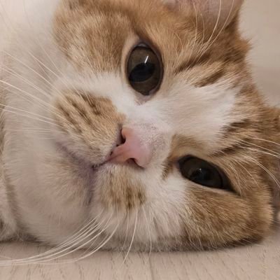 순대만 주세요's profile picture