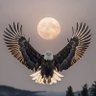 Profilbild von KARTAL Haydar BATTAL