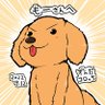 もー's profile picture