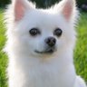 かんな's profile picture