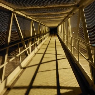 XXX_ODP's profile picture