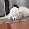 ๐ณ๐จ's profile picture