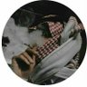 عثمان الخالدي's profile picture