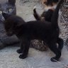 CM Vty profil fotoğrafı